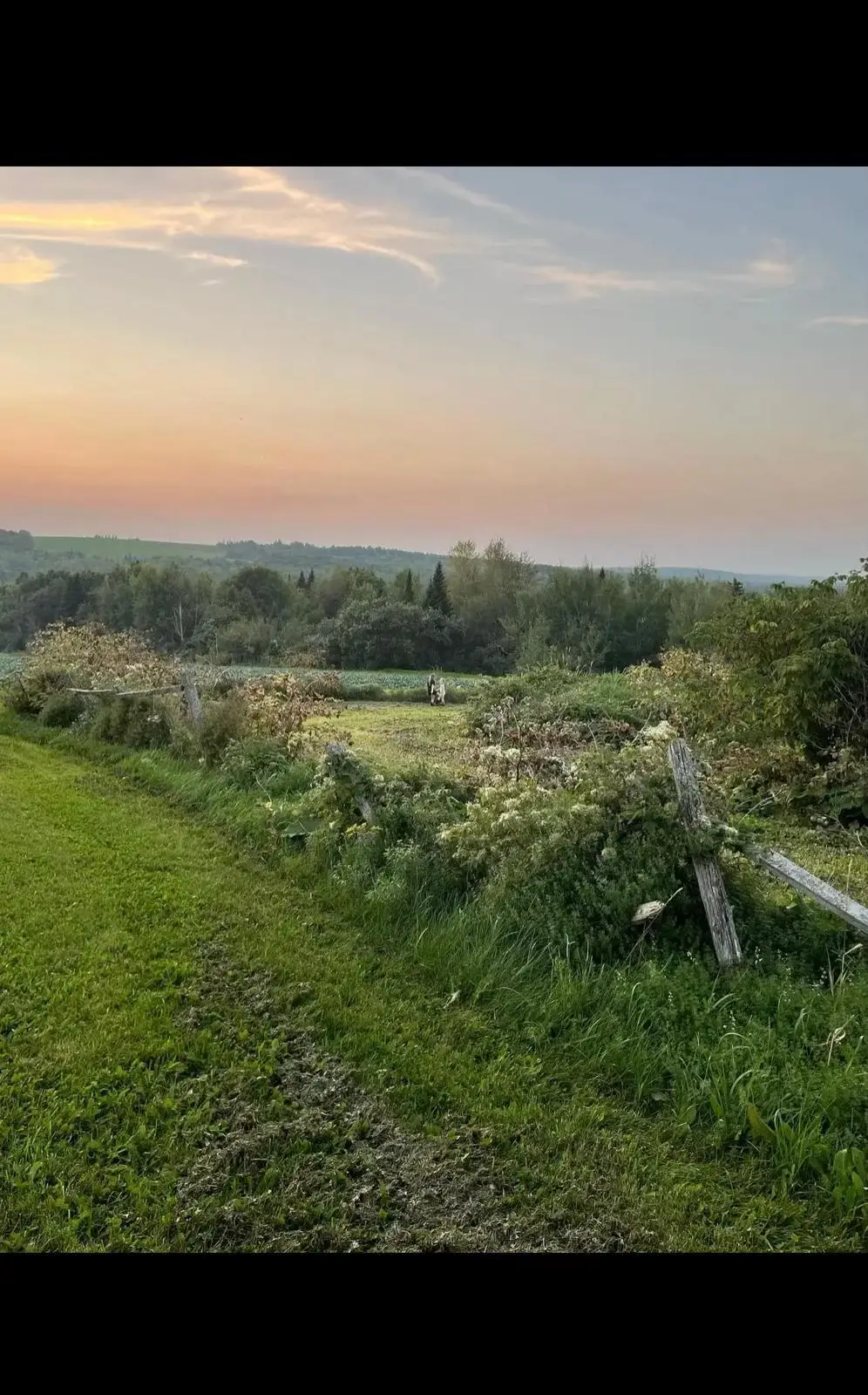 M8-L16 Grendell Road, Chapman, ME 04757 - Image #1