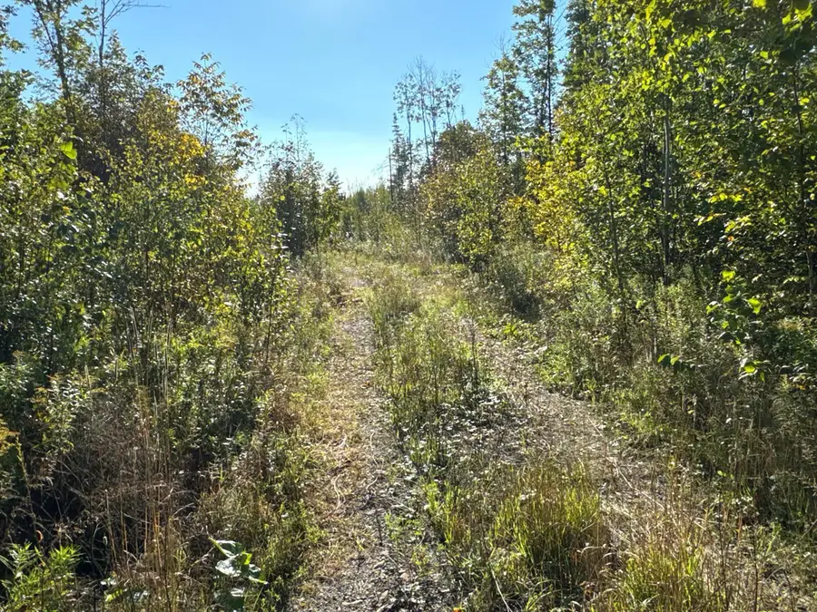 M8-L16 Grendell Road, Chapman, ME 04757 - Image #2