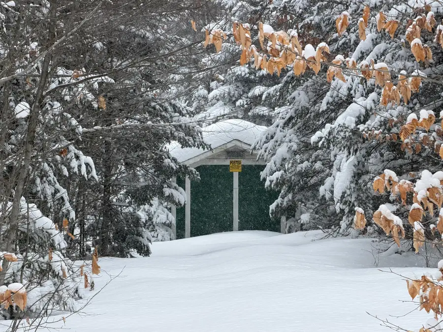 839 Oliver Hill Road, Garland, ME 04939 - #2