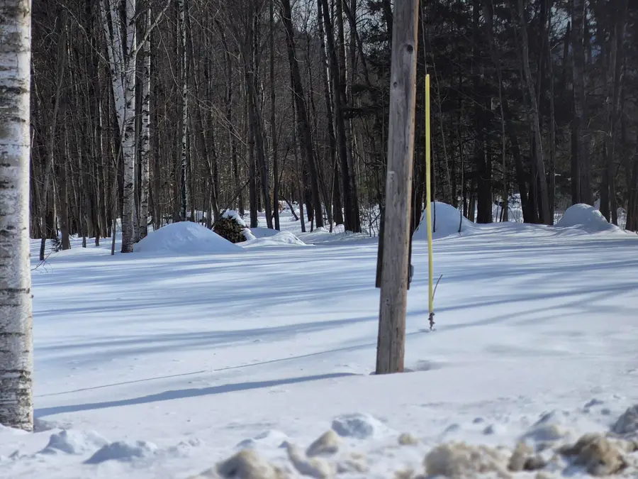 78 Backkingdom Road, Mexico, ME 04257 - #2