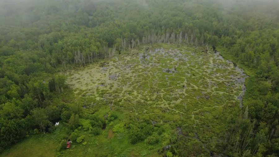 Lot 54.1 Lyford Road, Southeast Piscataquis, ME 04463 - #3