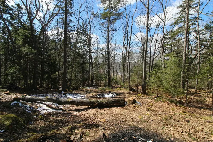 127 W West Side Drive, Verona Island, ME 04416 - #3