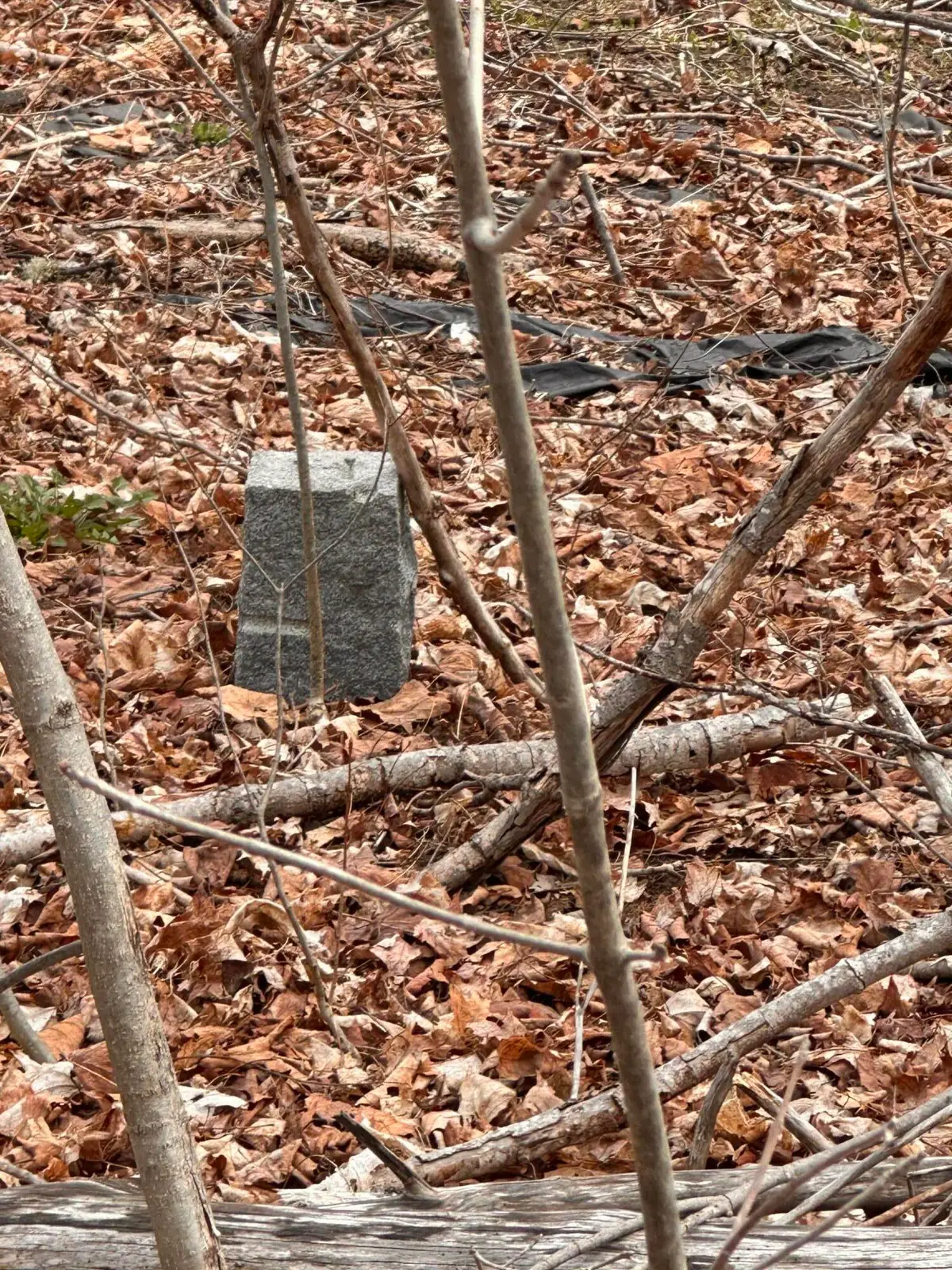 59 Gardiner Road, Dresden, ME 04342 - #1