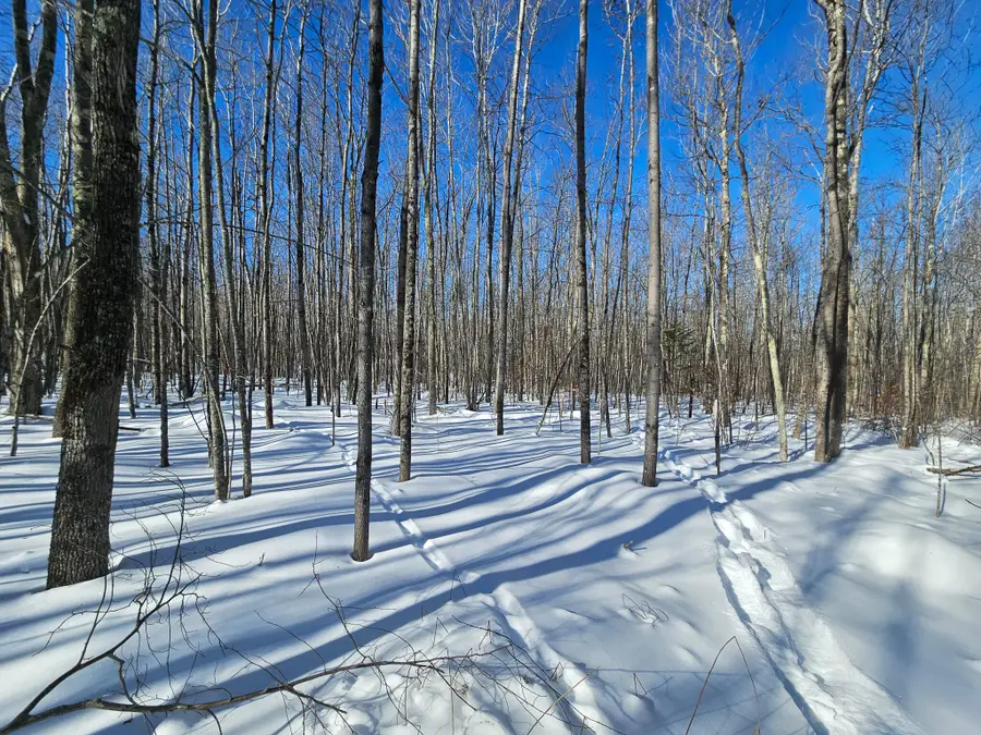 M-17 L-15 York Hill Road, New Sharon, ME 04955 - #3