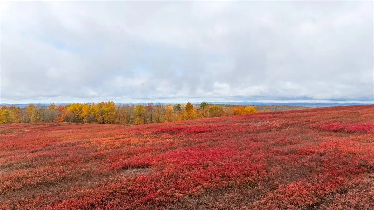 1490 Parmenter Road, Palermo, ME 04354 - #1