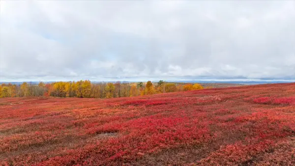 1490 Parmenter Road, Palermo, ME 04354