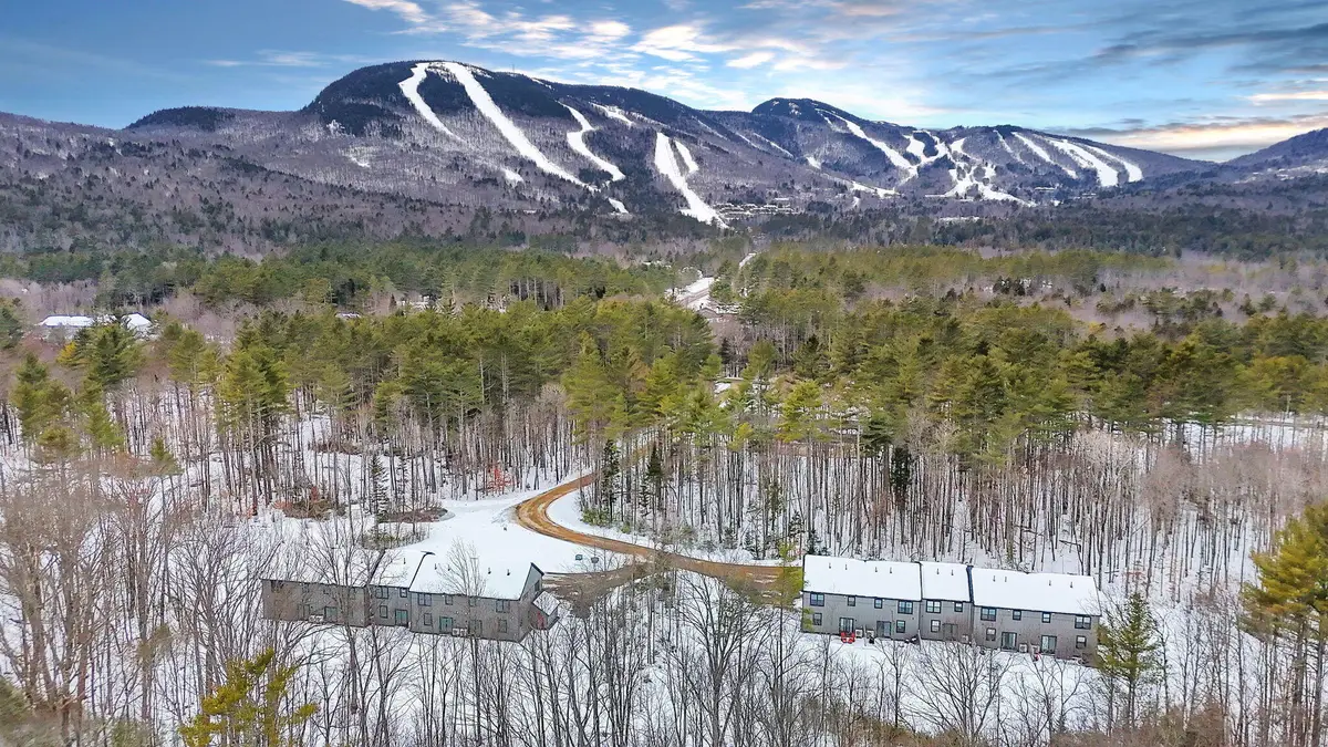 12 Lodgepole Lane #12, Newry, ME 04261 - #1