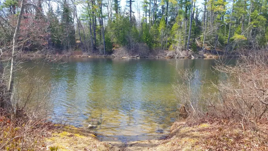 594 River Road Road, Windham, ME 04062 - #2