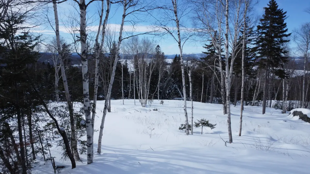 M13/L37 Barbara Lane, Sandy River Plt, ME 04970 - #1