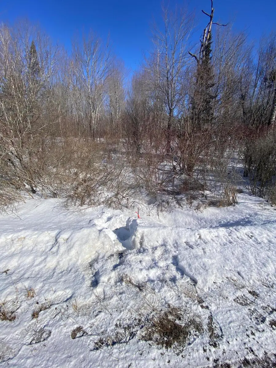 104 Langdon Road, Richmond, ME 04357 - #3