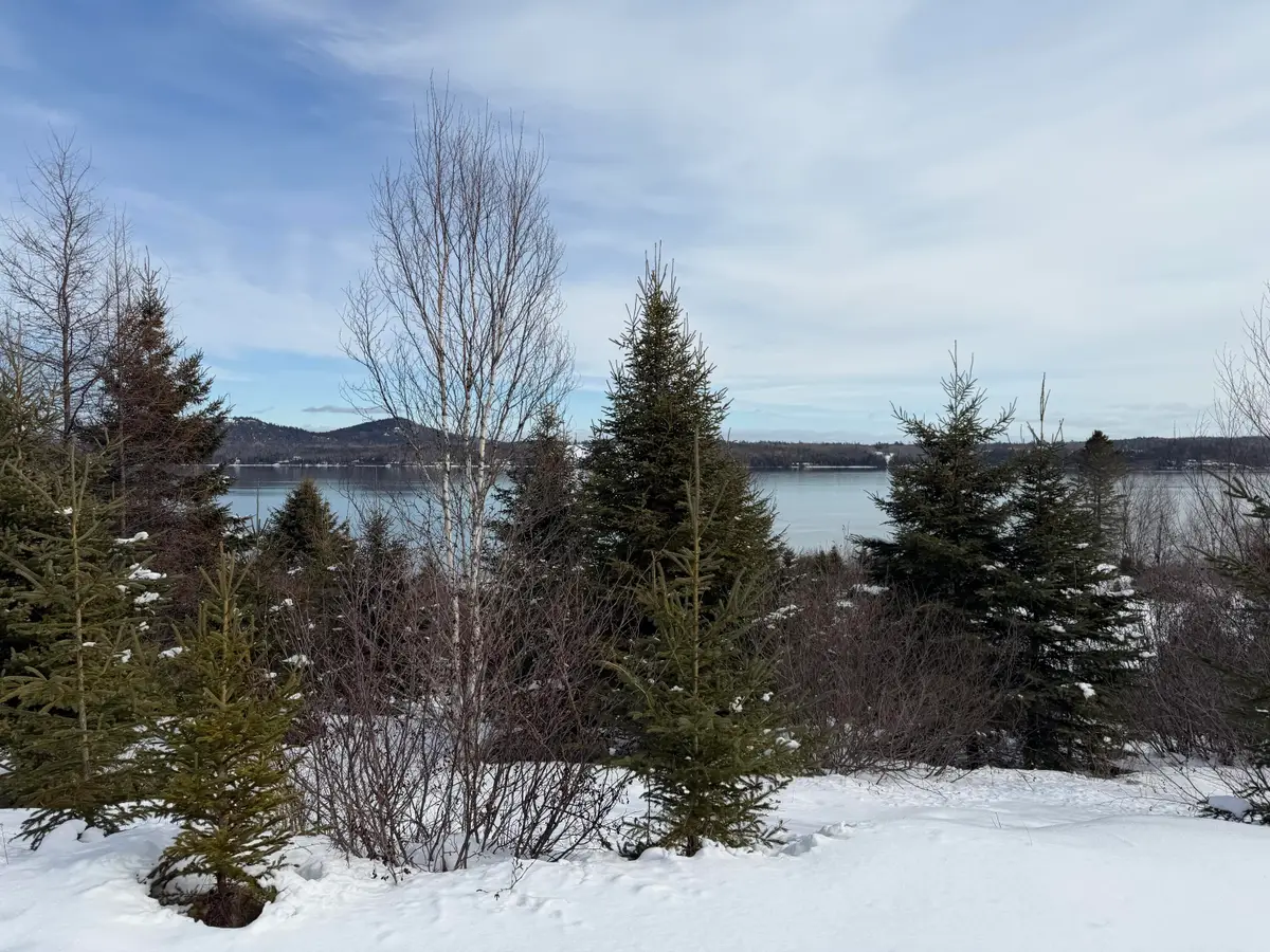 M6 L60-65 Gravel Road, Robbinston, ME 04671 - #1