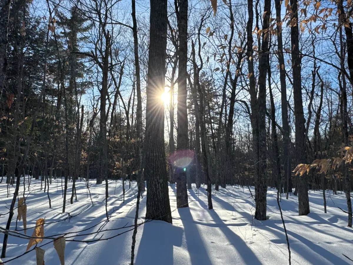 M10L44 Mountain View Road, Fryeburg, ME 04037 - #1