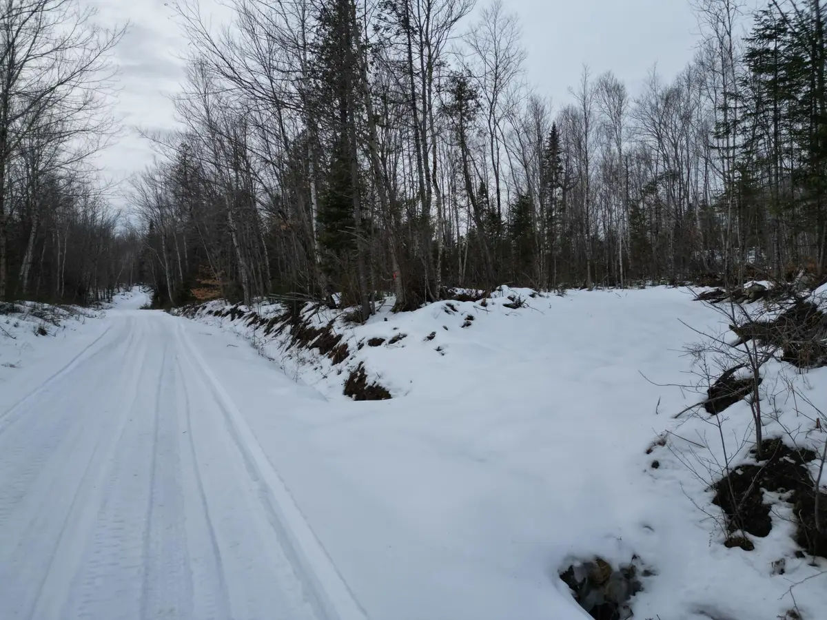 Lot 1 Moores Road, Springfield, ME 04487 - #1