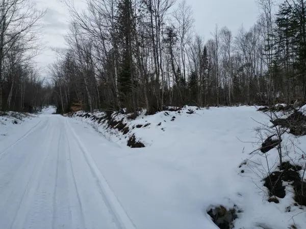 Lot 1 Moores Road, Springfield, ME 04487