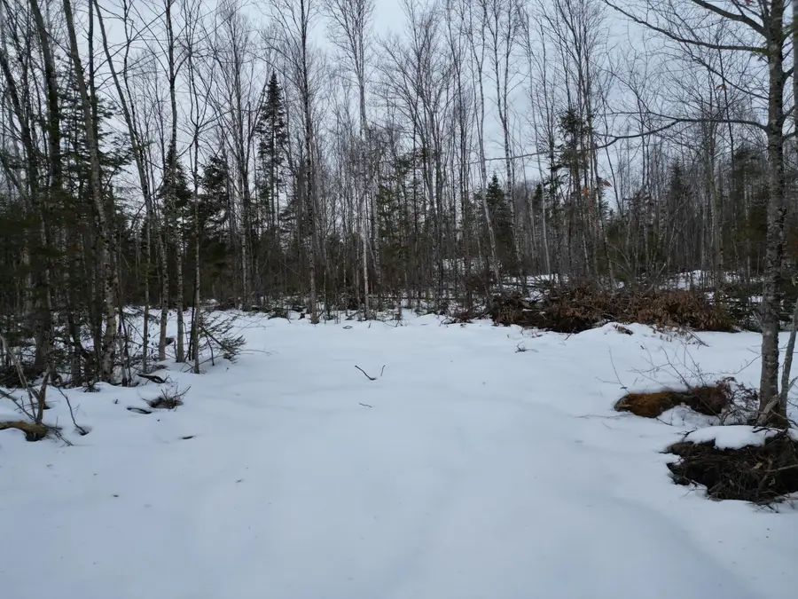 Lot 1 Moores Road, Springfield, ME 04487 - #2