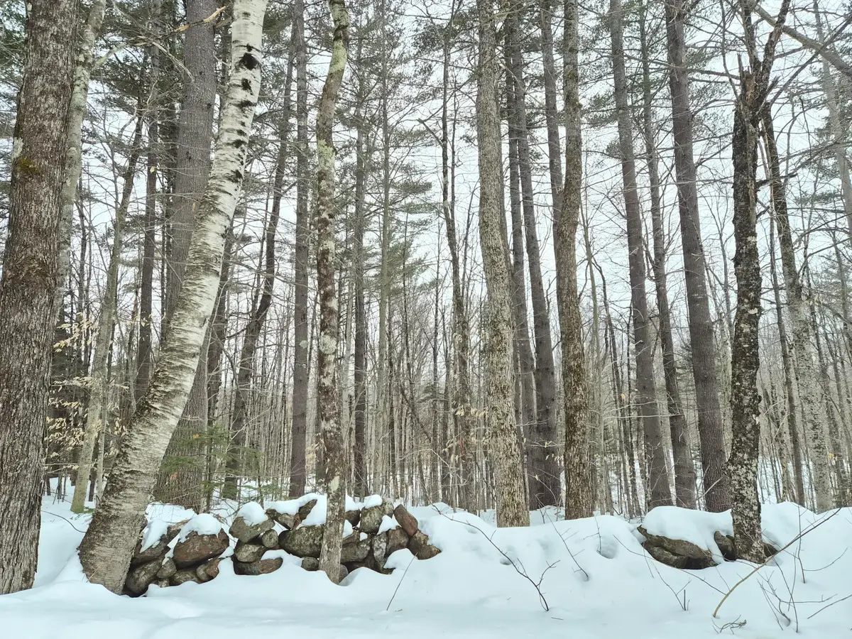 R06 L75-76 Staples Pond Road, Temple, ME 04984 - #1