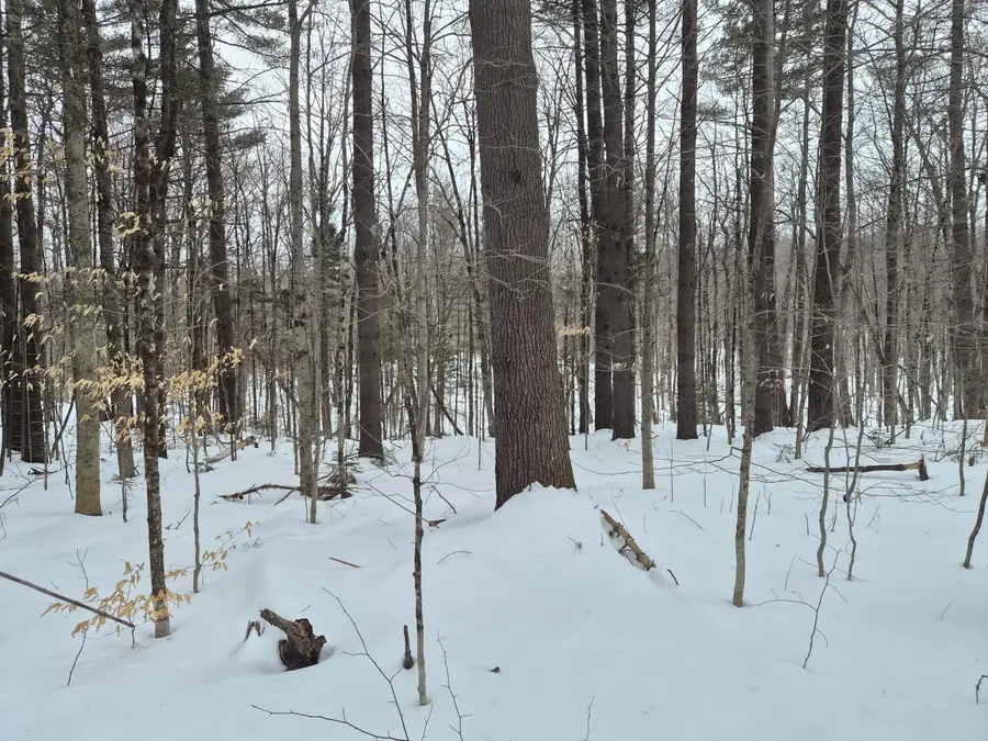 R06 L75-76 Staples Pond Road, Temple, ME 04984 - #2