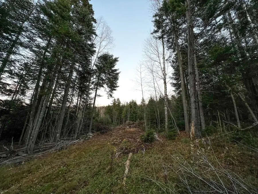 Lot 16 Mill Brook Road, Sandy River Plt, ME 04970 - #2