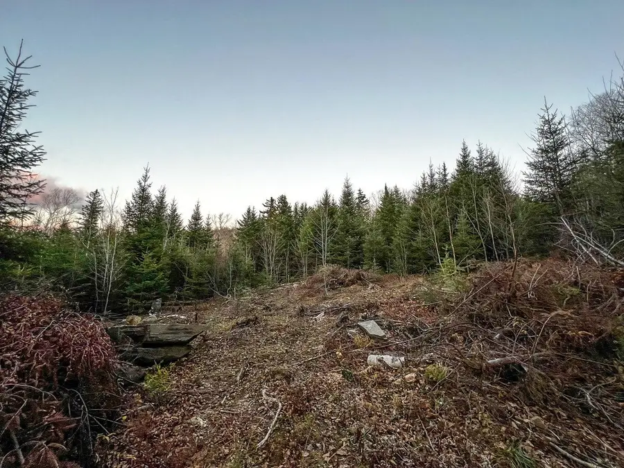 Lot 16 Mill Brook Road, Sandy River Plt, ME 04970 - #3