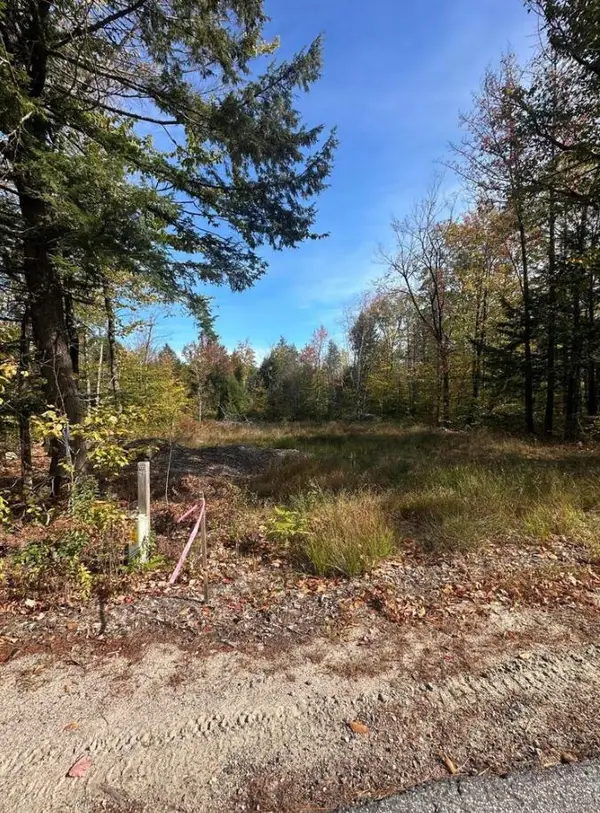 Lot 2 Hancock Pond Rd, Sebago, ME 04029
