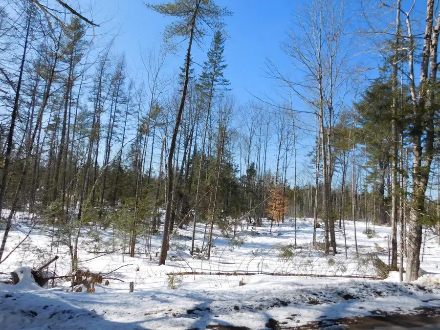 Lot # 3 Spring Bridge Road, Greenbush, ME 04418 - #2