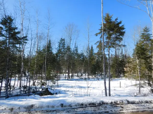 Lot # 2 Spring Bridge Road, Greenbush, ME 04418