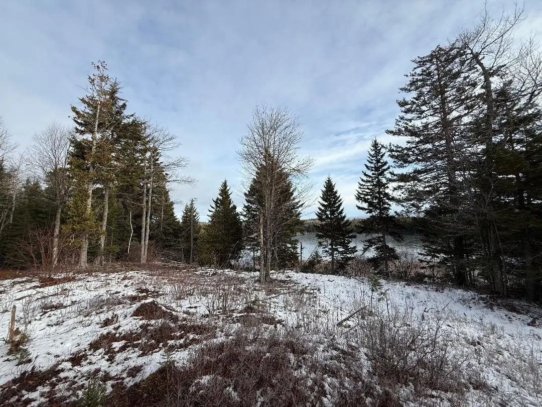Lot 7BH Steam Mill Road, Robbinston, ME 04671 - #1