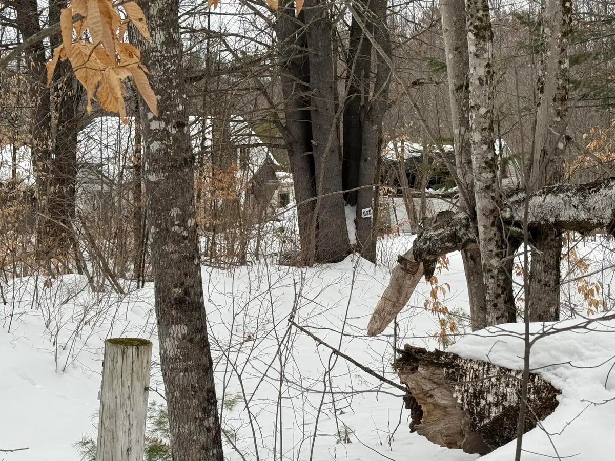 104 Hartman Road, Lovell, ME 04051 - #1