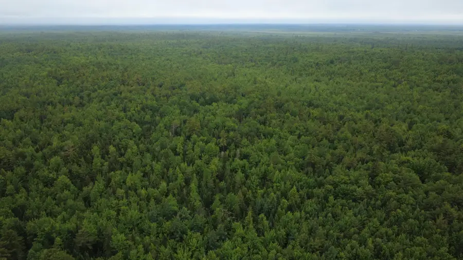 Lot 27.3 Southgate Road, Argyle, ME 04468 - #2