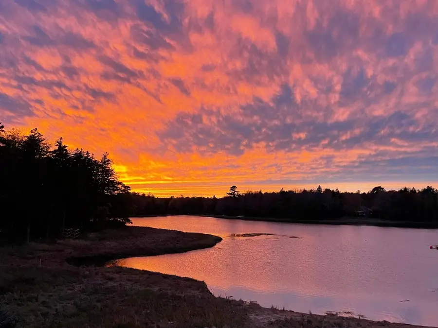 156 Scraggle Point Road, Saint George, ME 04860 - #2