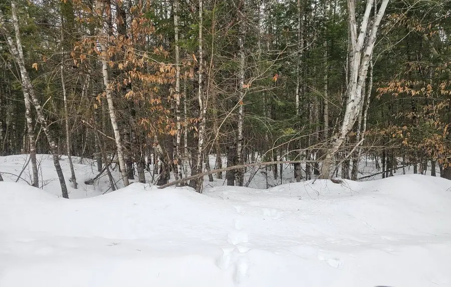 Lot # Old Commonwealth, Enfield, ME 04493 - #3