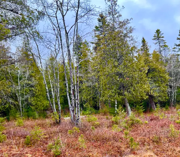 Lot 77-A Long Hill Road, Southwest Harbor, ME 04679