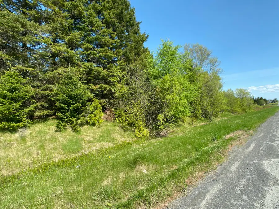 4-31 Caribou Road, Presque Isle, ME 04785 - #2