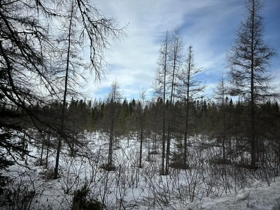 04-45.10,0 East Jemtland Road, Connor, ME 04736 - #3