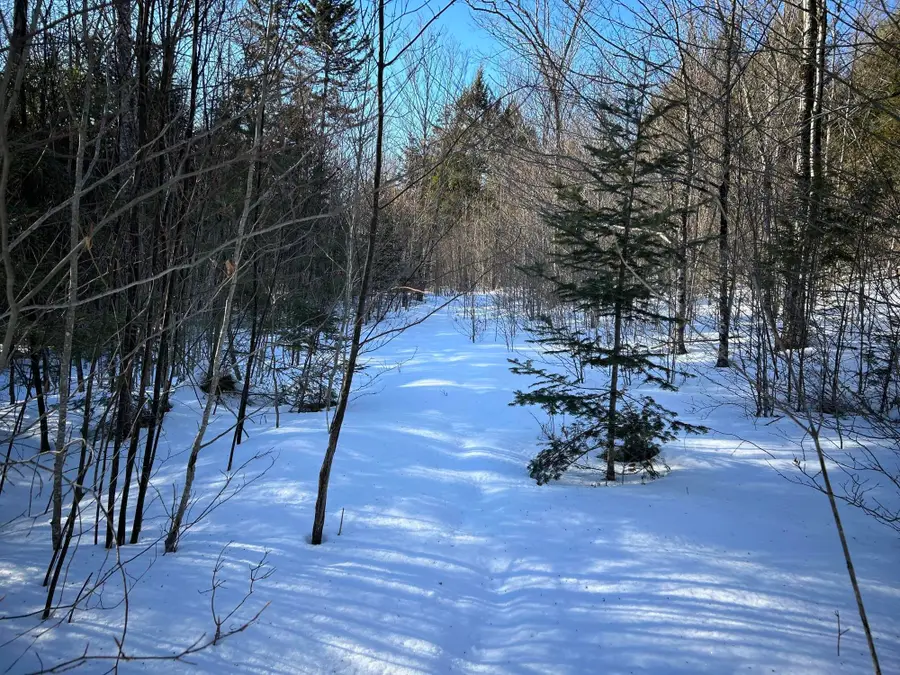 M7L22,L31 Nelson Ridge Road N, Washington, ME 04574 - #2