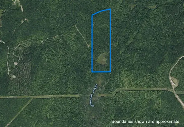 005-001-7 Nelson Road, Oakfield, ME 04763