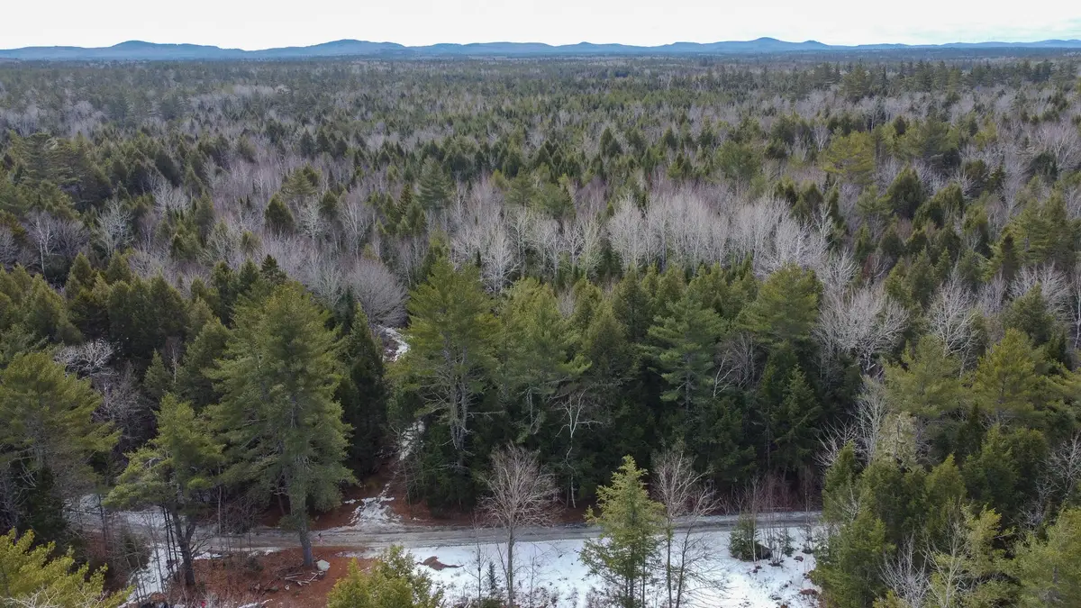 M1L58.3 Pickerel Pond Road, East Central Penobscot, ME 04418 - #1
