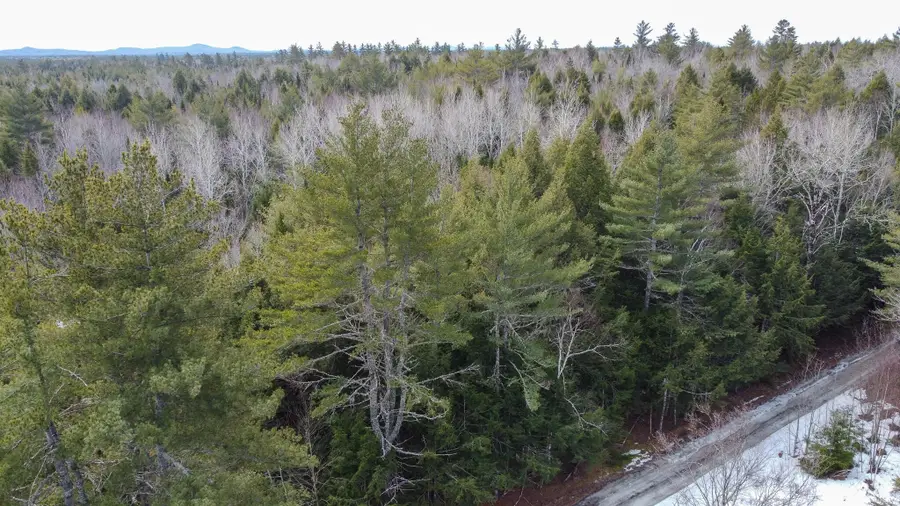 M1L58.3 Pickerel Pond Road, East Central Penobscot, ME 04418 - #3