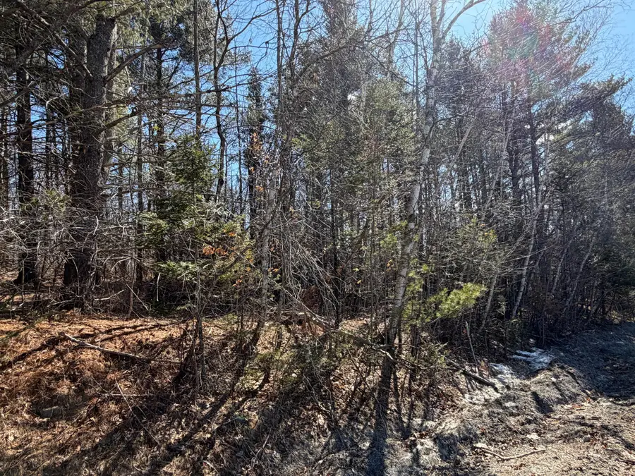 Map 10 Lot 11 Finson Road, Saint Albans, ME 04971 - #3
