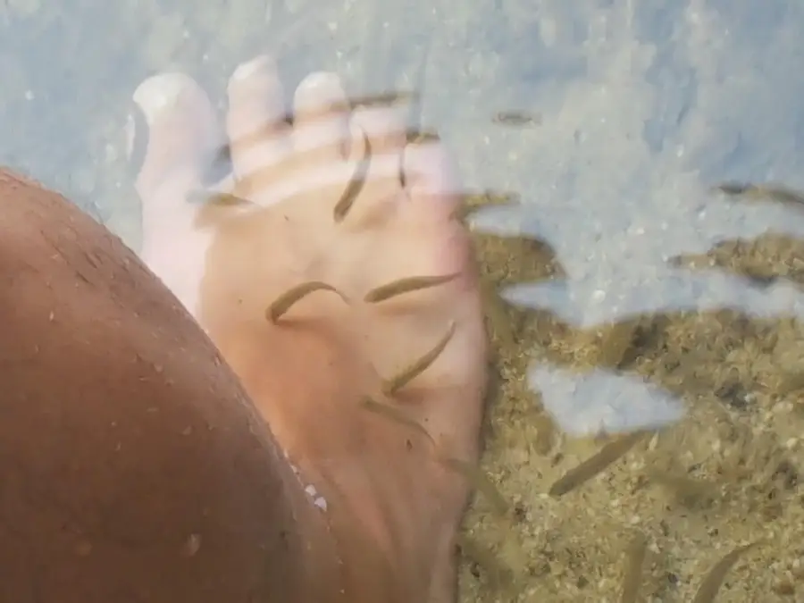 594 River Road Road, Windham, ME 04062 - #3