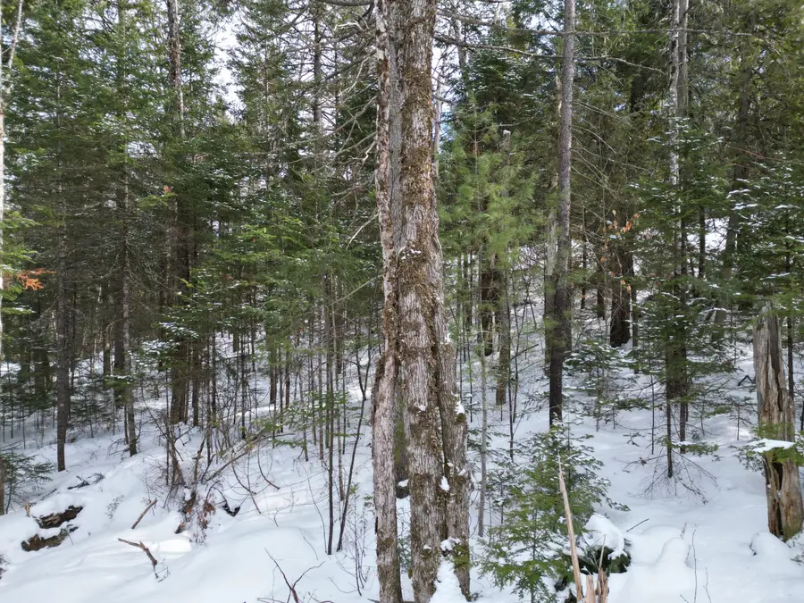 12 Falcon Ridge, Lincoln, ME 04457 - #3