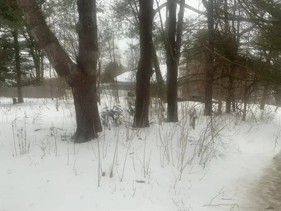 158 Lambert Street, Portland, ME 04103 - #2