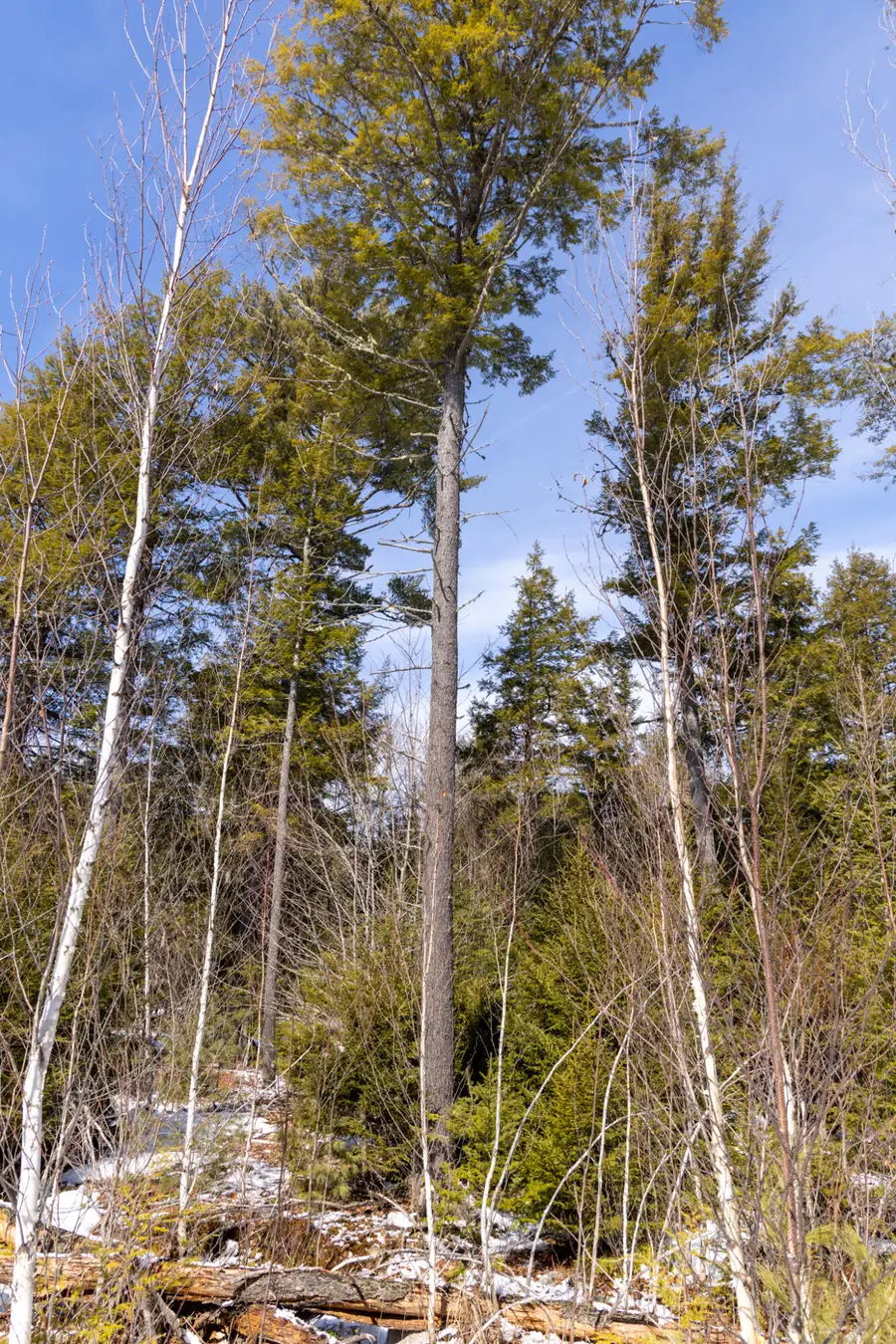 R7L14A Route 157 Route, Mattawamkeag, ME 04459 - #2