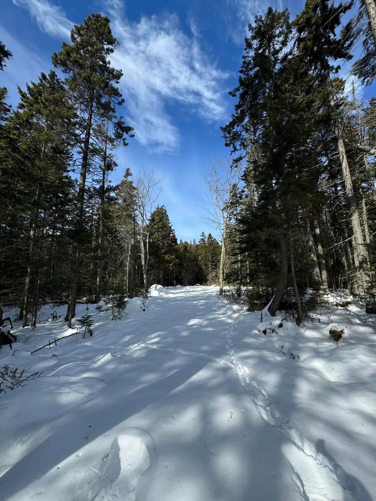 12 Jamestown Road, Vinalhaven, ME 04863 - #1