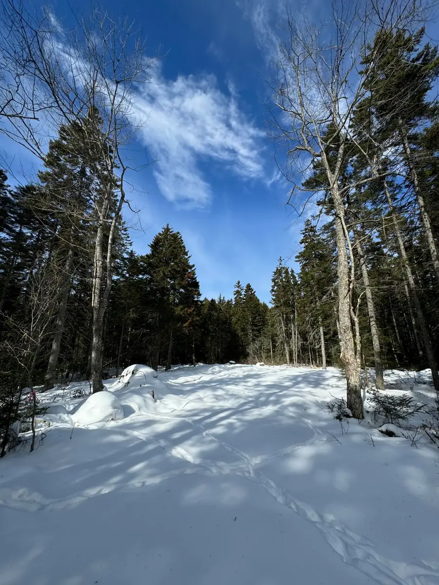 12 Jamestown Road, Vinalhaven, ME 04863 - #2