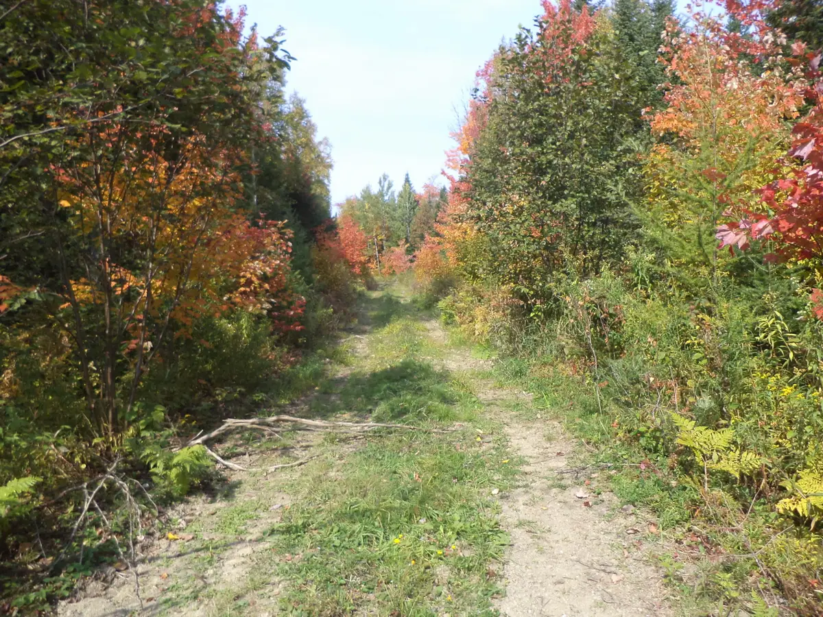 913 Skedgell Road, South Aroostook, ME 04471 - #1