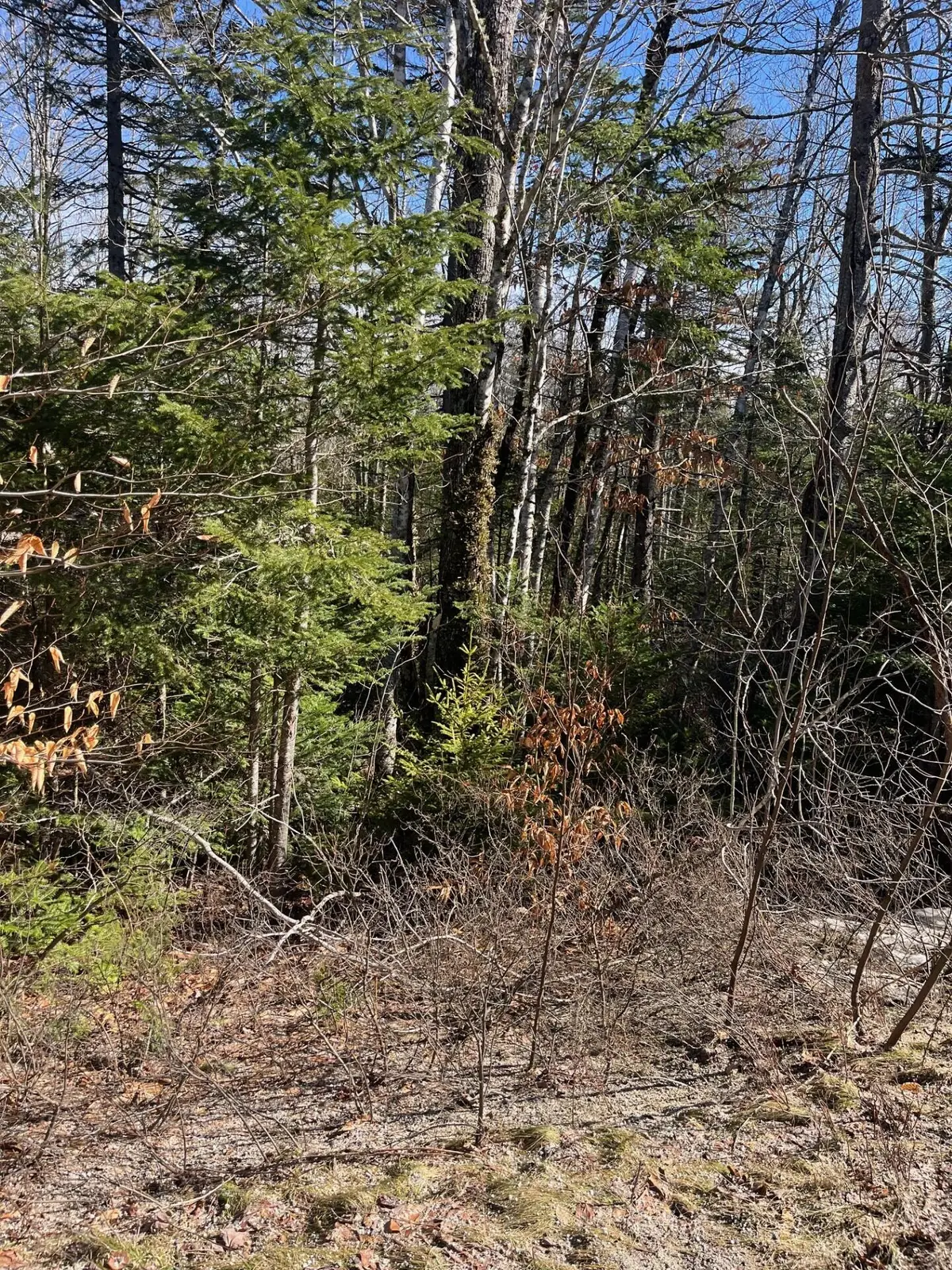 0 E Side Road, Steuben, ME 04680 - #1