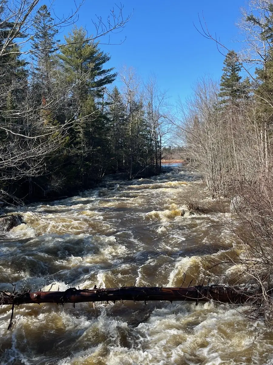 0 E Side Road, Steuben, ME 04680 - #2