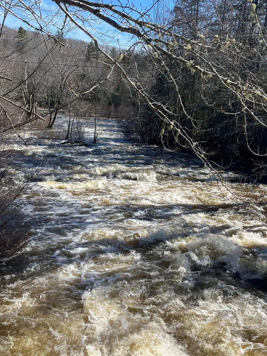 0 E Side Road, Steuben, ME 04680 - #3