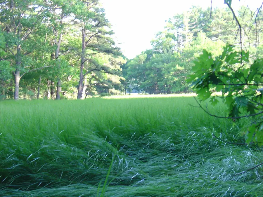 Lot # 19 Bald Head Road, Arrowsic, ME 04530 - #2